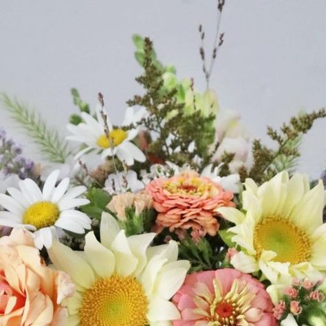 Jenna Meadows | Meadows Flower Farm on Instagram: "I’ll be sharing some of my favorite perennials that make for wonderful cut flowers this weekend! Consider this bouquet from the July garden a bit of a sneak peak. ☺️ Perennial ingredients include: rose “Pearlie Mae”, phlox “fashionably early crystal”, dried astilbe flowers, agastache (anise hyssop), baptisia foliage, yarrow, shasta daisy, and various tiny bits of grasses ✨ Annuals include: “Oklahoma salmon” zinnias, assorted snapdragons, statice, and “white lite” sunflowers 💛 #gardenbouquet #cottagegardenstyle #bouquetinspo #flowersfrommygarden #cutflowers #growflowers #bouquetofflowers #backyardgarden" Yarrow Flower Bouquet, Shasta Daisy Bouquet, California Native Flower Bouquet, Late Summer Wildflower Bouquet, Sunflower Thistle Bouquet, Anise Hyssop, July Garden, Farmers Market Flowers, Shasta Daisy