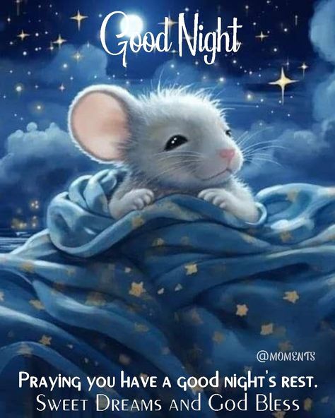 Sleepy Mouse - Good Night quotes night morning nights days good night images good night blessings good night picture quotes good night 2024 quotes good night blessings 2024 Good Night Pictures, Maus Illustration, Good Night Funny, Quote Images, Quotes That Inspire, Cute Good Night, Slaap Lekker, Good Night Prayer, Good Night Friends