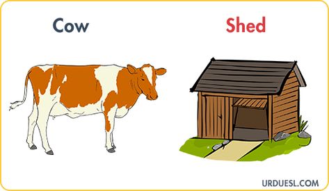 Animal And Their Homes With Pictures, Download Pdf & PPt Farm Animals Home, Animals And Their Homes Project, Animals And Their Homes Printables, Farm Animals And Their Homes, Animal Homes Preschool, Animals House Preschool, Homes Of Animals, Evs Worksheet, Animals And Their Babies