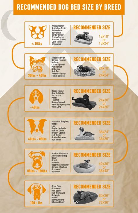 Puppy Essentials, Dog Bed Sizes, Puppy Playpen, Dog Size Chart, Dog Breeds List, Pet Market, Yorkie Moms, Yorkshire Terriers, Cool Dog Beds