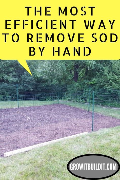 One of the hardest jobs in the garden is to remove grass to build a flower bed. There are many different methods you can find online to guide you from renting a sod cutter, to placing cardboard over the grass in the fall so that the grass is all dead/decomposed come next spring.  I have found an easy and efficient method for removing grass/sod.  It doesn’t take too much of the soil, and although it is still work – much easier on your back/body than other methods that I have seen and tried. How To Kill Grass For Garden Bed, Remove Grass From Yard, Grass To Garden Transition, How To Remove Grass For Garden, Removing Grass For Garden, Removing Grass Landscaping, How To Dig Up Grass For Flower Bed, Remove Grass For Garden, How To Remove Grass For Landscaping