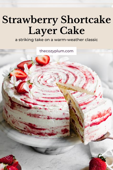 This Strawberry Shortcake Layer Cake is made with a fluffy vanilla sponge cake, strawberry simple syrup, fresh strawberries and lightly sweetened whipped cream. All layered together to produce a striking version of a summertime classic.  Make this into a 2-layer cake or 3-layer cake based on your preference! Simple Cake With Strawberries, Homemade Strawberry Shortcake Cake, Gourmet Layer Cake, Double Layer Strawberry Cake, Strawberry Shortcake Sponge Cake, Strawberry Shortcake Trifle Recipe, Sheetpan Strawberry Shortcake, Strawberry Orange Cake, Sponge Cake Filling Ideas