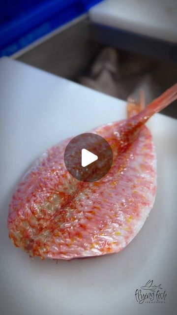 Flying Fish Seafoods on Instagram: "‘Red Mullet’ - Some more beautiful Red Mullets on its way out the door. They really have a tropical appearance about them, strange to think something so colourful is so present in our Cornish waters.   #flyingfishseafoods #redmullet #mullet #cornwall #cornish #lovecornwall #fish #fishing #net #chef #cheflife #chefstable #chefsofinstagram #foodporn #food" Red Mullet Recipe, Crunchy Fish, Mullet Fish Recipes, Perch Fish Recipes, Fish Street Food, Red Mullet Fine Dining, Pan Fried Rainbow Trout, Mullet Recipe, Red Mullet Fish