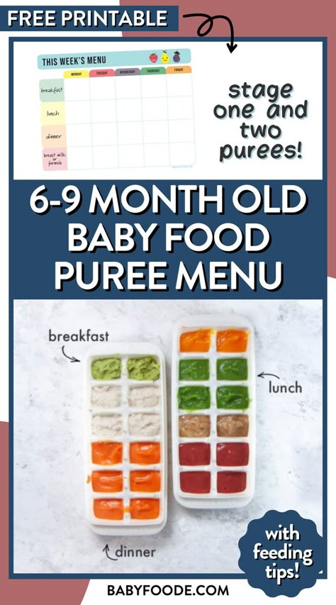 2 ice cube trays with different colored purees in each compartment below an image of the free printable you can download Purees For Babies, Baby Oatmeal Cereal, 9 Month Old Baby Food, Feeding Baby Solids, 9 Month Baby Food, Free Printable Menu, 6 Month Baby Food, Baby Food Puree, Baby Solid Food