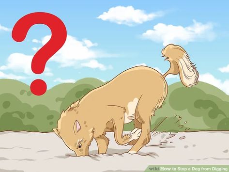 How to Stop a Dog from Digging: 11 Steps (with Pictures) - wikiHow Stop Dogs From Digging, Dog Digging, Dog Bad, Digging Holes, Stop Dog Barking, Attention Seeking, Aggressive Dog, Behavior Problems, Dog Biting