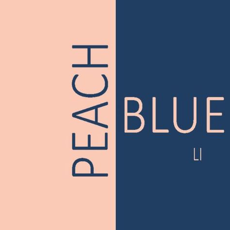 Dual Color Palette, Colors That Go With Peach, Colour Outfit, Wall Color Combination, Blue Color Combinations, Ice Blue Color, Designer Portfolio, Opposite Colors, Color Combos Outfit