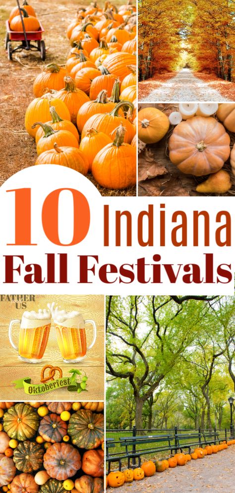 The fall in Indiana brings great weather, football games and beautiful falling leaves.  Indiana also has lots of great fall festivals.  Here are 10 ideas for great fun, food, crafts, activities, games, beer and entertainment! #fallfestivals #indiana #familytravel Indiana Vacation, Best Places To Vacation, Fall Festivals, Family Festival, Fall Dates, Indiana Travel, Activities Games, Indiana State, Fall Travel