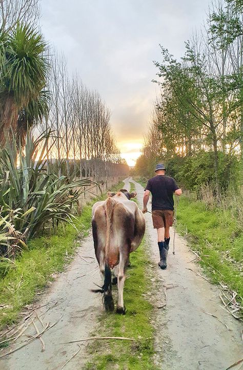 Secrets from one of the most self-sufficient lifestyle blocks in New Zealand Lifestyle Block, Lifestyle Block Landscaping Nz, New Zealand Horse Riding, Agrodome New Zealand, New Zealand South Island Hikes, Self Sufficient, New Zealand Sheep Farm, Four Sisters, Passive Solar Design