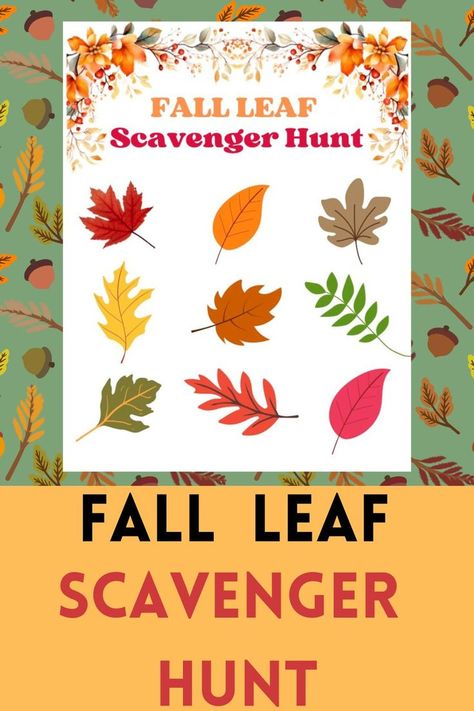 Free Printable Fall Leaf Scavenger Hunt! This is a fun activity to use outdoors or on a nature walk with kids this fall. Find different shapes and colors of leaves on your outdoor adventure. Leaf Scavenger Hunt, Leaf Hunt, Fall Scavenger Hunt, Scavenger Hunt Printable, Scavenger Hunts, Easy Activities, Fall Activities, Fall Leaf, Autumn Activities