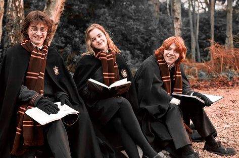 Foto Harry Potter, Harry Ron Hermione, Imprimibles Harry Potter, The Golden Trio, Harry Potter Ron And Hermione, Ron Hermione, Hp Harry Potter, Harry Potter Ron, Buku Harry Potter