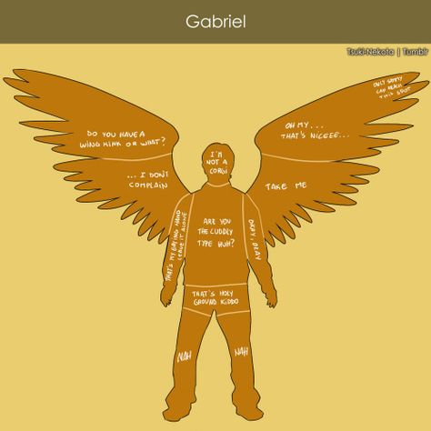 winchesters with wings | Tumblr Gabriel Good Omens Icons, Gabriel Supernatural Icon, Gabriel Spn, Gabriel Supernatural, Supernatural Angels, Supernatural Ships, Fast 8, Supernatural Beings, Supernatural Memes