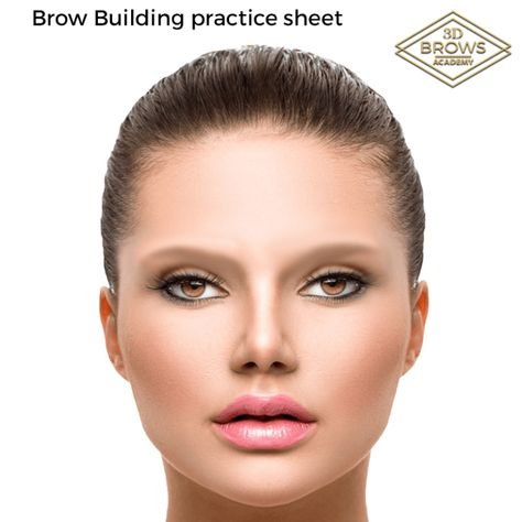 practice sheet – 3D Brows Classroom Eyebrow Mapping Practice Sheet, Brow Mapping Practice Sheet, Brows Mapping, Body Templates, Phibrows Microblading, Brow Mapping, Micro Blading, Facial Structure, Connecting The Dots