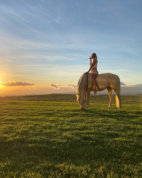 baseball in the fall with a worn glove the leaves might change but the roots stuck #horses #horsesofinstagram #horsegirl #ranchlife Horse Girl Aesthetic, Cowgirl Barbie, Aesthetic Horse, Horse Riding Aesthetic, Ride A Horse, English Tack, Palomino Horse, Small Town Romance, Cowgirl Aesthetic