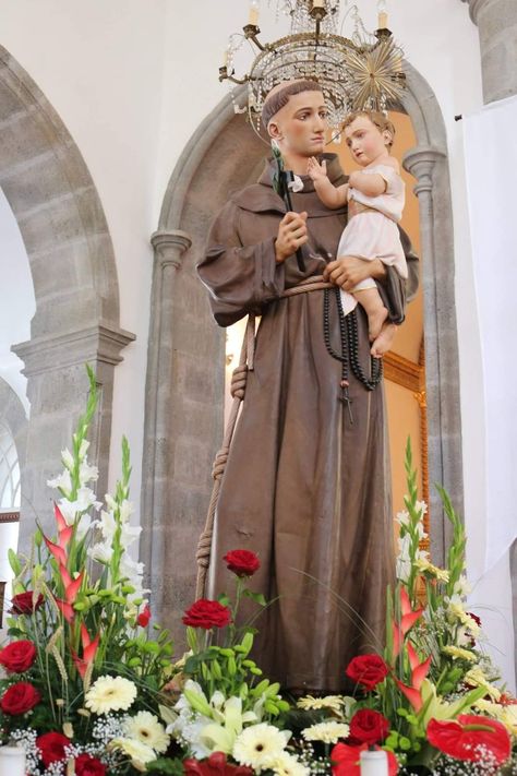 St Antony Images Hd, Saint Antony, Roman Catholic Art, Susi Rejano, Happy Feast, Saint Anthony Of Padua, Jesus Mother, Santo Antonio, Jesus Christ Art