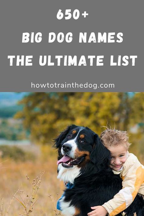 Big Dog Names Male, Big Dog Names, Dogs Names List, Cute Big Dogs, Dog Name Ideas, Rhyming Names, Big Fluffy Dogs, Boy Dog Names, Girl Dog Names