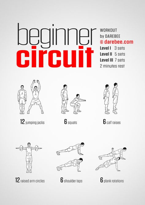 Beginner Circuit Workout Beginner Circuit Workout, Darebee Workout, Workout Abs, Planet Fitness, Cardio Training, Aerobics Workout, Circuit Workout, Circuit Training, At Home Workout Plan