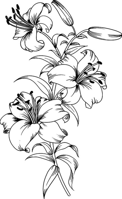 Flower Tattoo Stencils, Lillies Tattoo, Lilies Drawing, Lily Flower Tattoos, Japanese Flower Tattoo, Tattoo Templates, Lily Tattoo, Red Tattoos, Tattoo Design Book