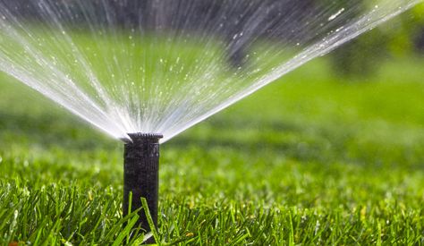 In the Deep South, it's hot. REALLY HOT. That's why it's important to keep your grass watered. That can get expensive. What if there was a grass that could thrive on less water? The answer is here: https://loom.ly/DgxDwdY #ngturf #tiftuf #bermuda #farmfreshsod Water Irrigation System, Lawn Sprinkler System, Water Saving Tips, Sprinkler Repair, Lawn Irrigation, Water Irrigation, Growing Grass, Sprinkler Irrigation, Sprinkler Heads