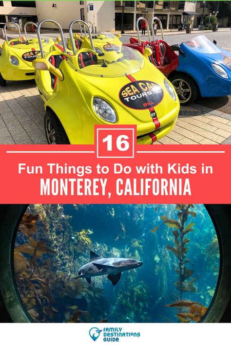 16 Fun Things to Do in Monterey with Kids California With Kids, Monterey Park, Monterey Bay Aquarium, Monterey California, Things To Do With Kids, Kid Friendly Activities, Monterey Ca, Family Destinations, California Travel Road Trips