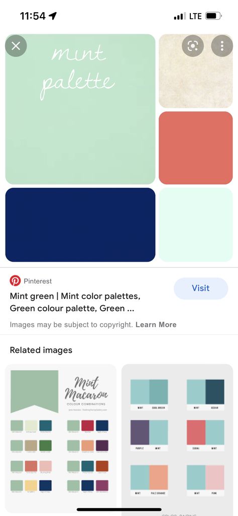 Colors That Match With Mint Green, Mint Green Complimentary Colors, Mint Green Matching Colours, Mint Green Colour Palette, Mint Green Color Palette, Mint Color Palettes, Mint Paint, Paint Color Combos, Mint Walls