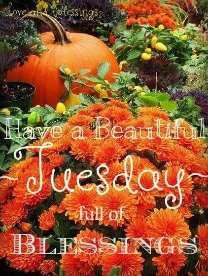 Happy Tuesday Morning, Tuesday Quotes Good Morning, Tuesday Greetings, Happy Tuesday Quotes, Good Morning Thursday, Good Morning Tuesday, Tuesday Quotes, Happy Morning Quotes, Good Morning Inspiration