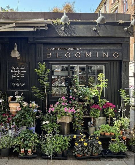 Small Flower Shop Exterior, Plant Shop Exterior, Vintage Flower Shop Interior, Industrial Flower Shop, Modern Florist Shop, Floral Shop Interior Design, Flower Shop Store Fronts, Vintage Flower Shop, Flower Store Design