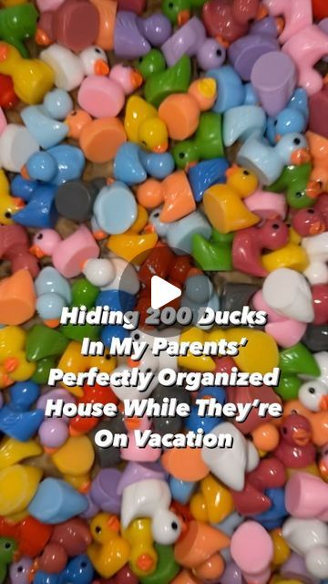 KeeP organized. on Instagram: "Hiding 200 Ducks in My Parents Perfectly Organized House While They’re on Vacation 😂🦆🤭 … Not My Usual Professional Organizer Content But I Love to Laugh as Much as I Love to Organize 💫 #Funny #Prank #Laugh #PracticalJoke #SorryMomAndDad #ProfessionalOrganizer #Ducks #CantHelpMyself" House Pranks, Pranks To Pull, Organized House, Perfectly Organized, Good Pranks, Funny Duck, Little Duck, Practical Jokes, Professional Organizer