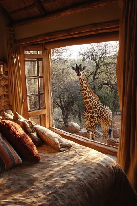 Africa Luxury Resort, African Safari Vacation, Africa Safari Aesthetic, South Africa Safari Lodge, Africa Moodboard, Africa Safari Travel, Safari Lodge Interior, Africa Savannah, African Lodge