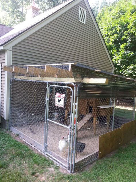 chain link dog run roofing ideas and suggestions | BackYard Chickens - Learn How to Raise Chickens Diy Dog Pen, Dog Kennel Roof, Diy Dog Run, Portable Dog Kennels, Building A Dog Kennel, Dog Run, Diy Dog Kennel, Best Chicken Coop, Dog Pen