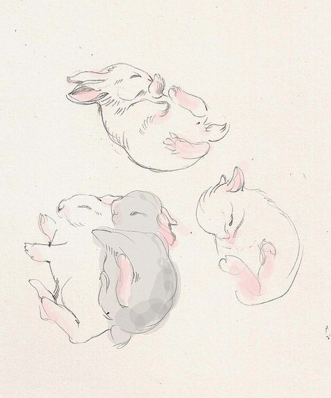 sleepy bunnies by solnechnaya, via Flickr Animals Sketches, Sleeping Bunny, Rabbit Drawing, Bunny Tattoos, Animals Watercolor, Bunny Drawing, Images Kawaii, Rabbit Art, Bunny Art