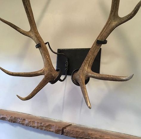 I have a matched pair of elk horns laying around. I like this easy, non-traditional way to wall mount. Are they custom or available retail? Deer Horn Decor Ideas, Elk Horn Decor Ideas, Shed Antler Display Ideas, European Elk Mount, Antler Display Ideas, Elk Antler Decor, European Deer Mount Ideas, Antler Mount Ideas, Elk Horns