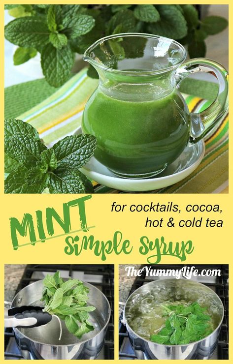 Mint Syrup is easy to make and adds instant, refreshing mint flavor to cocktails (like mojitos), hot cocoa, lemonade, sparkling water, and hot and cold tea. #theyummylife #mint #syrup #cocktails #icedtea #cocktailmixer #mojitos Mojito Syrup Recipe, Mint Syrup Cocktail, Mojito Mint Plant Uses, Cooking With Mint, What To Do With Fresh Mint, Fresh Mint Recipes, Mint Simple Syrup Recipe, Mint Syrup Recipe, Mint Recipes Fresh