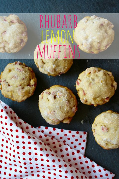 Rhubarb and lemon combine to give these easy muffins a bright and tart flavor, which is balanced by the sugar topping. Lemon Rhubarb Muffins, Cinnamon Quick Bread, Lemon Rhubarb, Strawberry Rhubarb Bars, Spring Fruits, Rhubarb Scones, Best Rhubarb Recipes, Healthy Scones, Rhubarb Bread