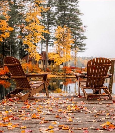 The Cabin Chronicles on Instagram: “Find a place to sit and watch the leaves F A L L ▪︎ 📷: @kylefinndempsey | New Hampshire 📍: @winniessocks” Cabin Chronicles, Lake Winnipesaukee, New England Fall, Lake Living, Cabin Living, Autumn Scenery, The Cabin, Adirondack Chairs, Cozy Cabin