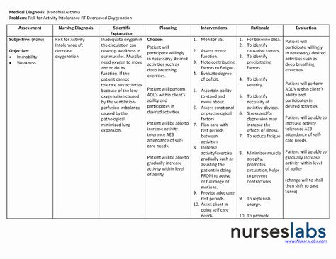 30 Examples Of Nursing Care Plans | Example Document Template Asthma Nursing, Nursing Care Plan Template, Care Plan Template, Concept Maps, Nursing Home Care, Nursing Diagnosis, Nursing Process, Nursing Care Plan, Fall Care