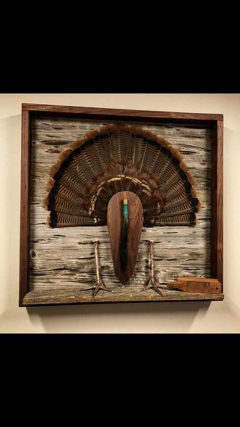 Turkey Feet Mount, Turkey Trophy Ideas, Framed Turkey Fan, Turkey Fan Display Ideas, Turkey Display Ideas, Turkey Tail Mount Ideas, Turkey Tail Feather Mounts, Diy Turkey Fan Mount, Turkey Mounts Ideas