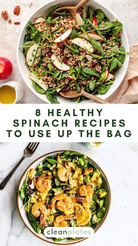 8 Healthy Spinach Recipes That Use Up the Whole Bag Healthy Recipe With Spinach, Spinach Bowl Recipes, Spinach Based Meals, Meals With Spinach Dinners, Healthy Recipes With Spinach, Spinach Lunch Ideas, Meals With Spinach, Spinach Recipes Dinner, Spinach Meal Prep