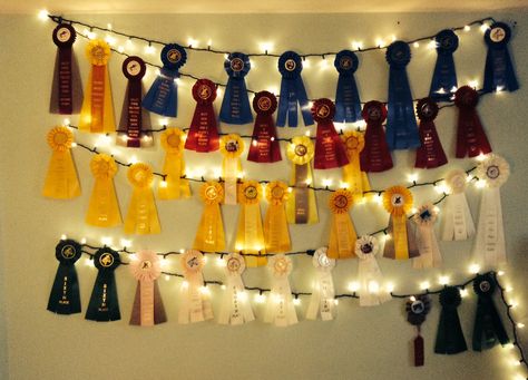 Too many show ribbons. Equestrian DIY Horseback Riding Ribbon Displays, Ideas Of Things To Do With Old Horse Show Ribbons, Horse Shoe Ribbon Display, Equestrian Rosette Display, Horseshow Ribbon Display Ideas, Ribbon Hanging Ideas Horse, Show Ribbons Ideas, What To Do With Horse Show Ribbons, Equestrian Ribbon Wall