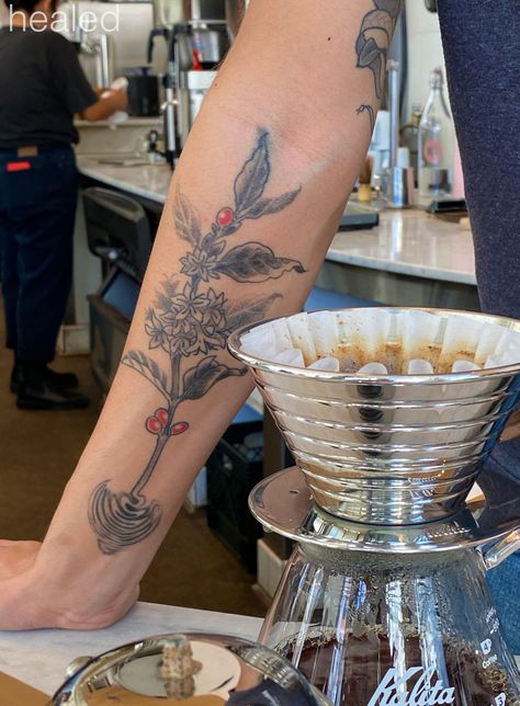 Coffee Beans Tattoo Ideas, Coffee Cup And Flowers Tattoo, Coffee Bean Flower Tattoo, Flowers In Coffee Mug Tattoo, Neo Traditional Coffee Tattoo, Coffee Plant Tattoo Color, Coffee Flower Tattoo, Coffee Plant Tattoo, Plant Tattoo Ideas