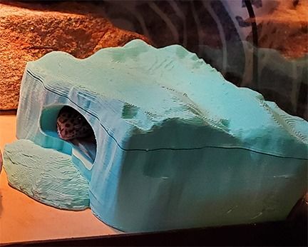 False Rock Reptile Hide by Amdrin - Thingiverse Reptile Hide, Reptiles, Terrarium, 3d Printing