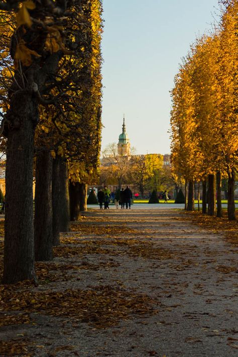 Autumn In Vienna, Vienna November, Teleportation Machine, Vienna Autumn, Vienna Trip, Vienna Aesthetic, Vienna Waits For You, 2024 Moodboard, Vienna Travel