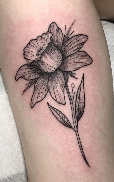 Daffodil Tattoos: Meanings, Tattoo Designs & Ideas Daffodil Tattoo Shaded, Traditional Narcissus Flower Tattoo, Geometric Daffodil Tattoo, Daffodil Tattoo Men, Daffodil Tattoo Black And White, Daphadil Tattoo, Daffodil Tattoo Sleeve, Daffodil Drawing Tattoo Ideas, Daphodil Flower Tattoos