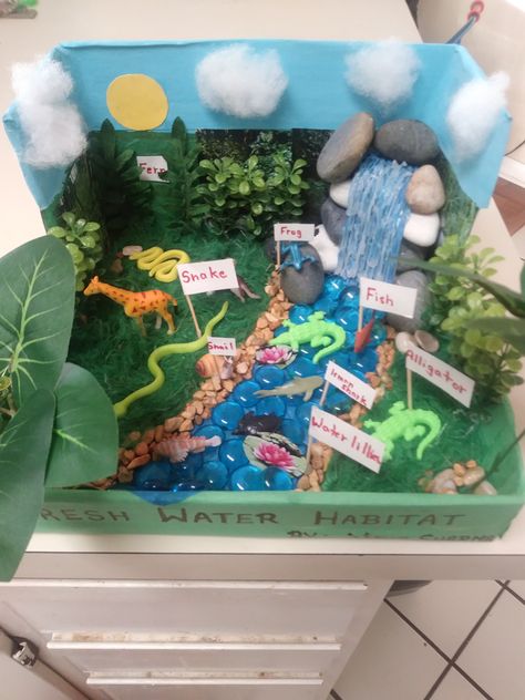 Fresh Water Biome Project Ideas, Freshwater Biome Project, Freshwater Ecosystem Project, Landforms Model Projects, Habitat Diorama Ideas For Kids, Ecosystem Diorama Project, Freshwater Biome Shoebox Project, Aquatic Ecosystem Project, Wetland Habitat Diorama