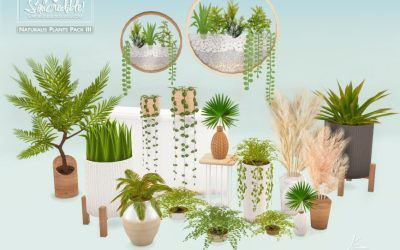 Sims 4 Houseplant Cc, Simsresources Furniture, Sims 4 Wall Plants, Sims 4 Cc Indoor Plants, Sims 4 Indoor Plants, Sims 4 Cc Trees And Plants, Home Decor Cc Sims 4, Sims Resource Sims 4, Ts4 Plants Cc