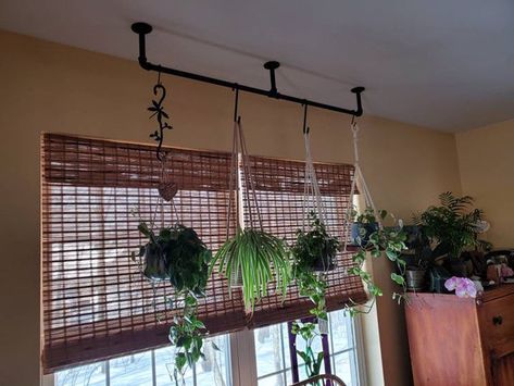 Industrial pipe plant hanger/ Industrial pipe plant holder/ | Etsy Window Plants, Salon Suites, Hanging Plants Indoor, Plant Decor Indoor, House Plants Decor, Plant Stands, Room With Plants, House Plants Indoor, Plant Shelves