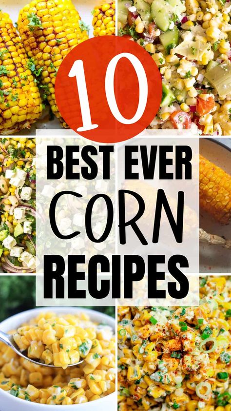 Corn is in season right now, and it’s the perfect time to savor its fresh, sweet flavor. Try these 10 recipes to make the most of peak corn and add a seasonal touch to your meals. Yummy Corn Recipes, Best Corn Dishes, Sides With Corn, Best Frozen Corn Recipe, Christmas Corn Recipes, Best Corn Recipes Thanksgiving, Cold Corn Recipes, Sweet Corn Side Dish, Best Corn Side Dish Recipe