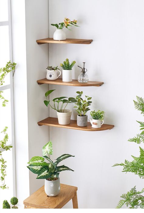 #cornerwallshelf #hangingwallshelf #wallshelfforflower Pallet Deck Diy, Corner Shelf Ideas, Plant Decor Indoor, House Plants Decor, Corner Shelf, Room With Plants, House Plants Indoor, Plant Shelves, Corner Shelves