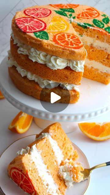 Maddison Koutrouba on Instagram: "Citrus Designed Sponge Cake! 🍊 Find all of my recipes, links to tools I use, and guides on my website - link in bio! 🤎" Squeaky Mixer, Sponge Cake Decoration, Sweet Treats Desserts, My Recipes, Cake Icing, Design Sponge, Sheet Cake, Sponge Cake, Recipe Collection