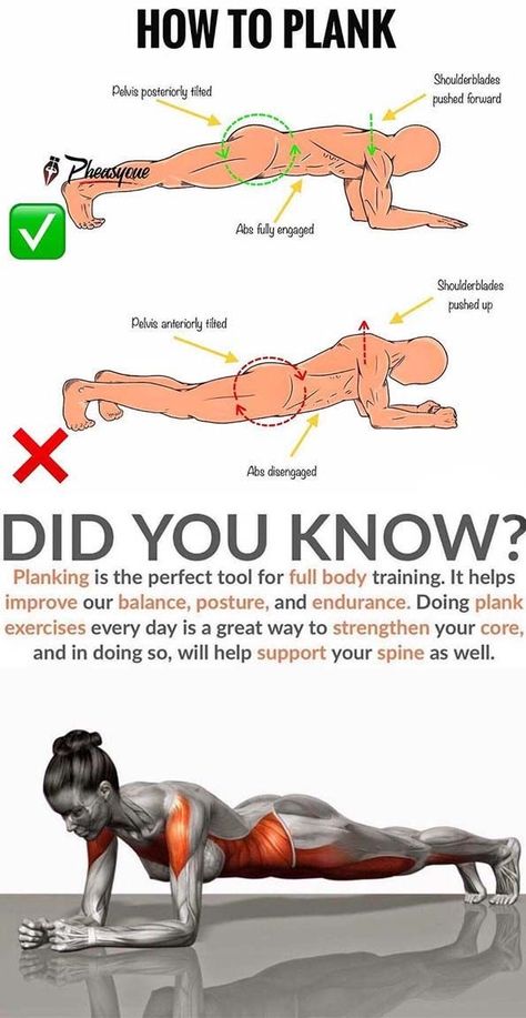 January Workout, How To Plank, Body Toning, Gym Workout Planner, Gym Workout Chart, Abs Workout Gym, Exercise Ideas, Kegel Exercise, Abs And Cardio Workout