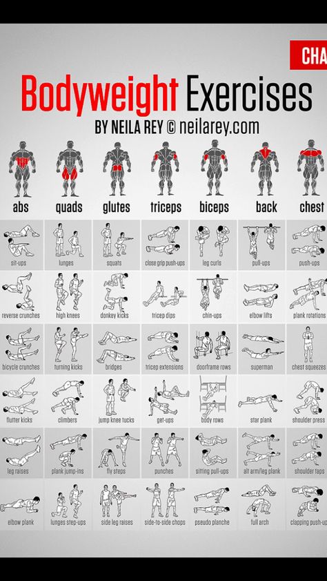 Calisthenics Workout Plan, Latihan Dada, Workout Plan For Men, Trening Sztuk Walki, Gym Workout Planner, Gym Antrenmanları, Full Body Workout Routine, Gym Workout Chart, Workout Routine For Men